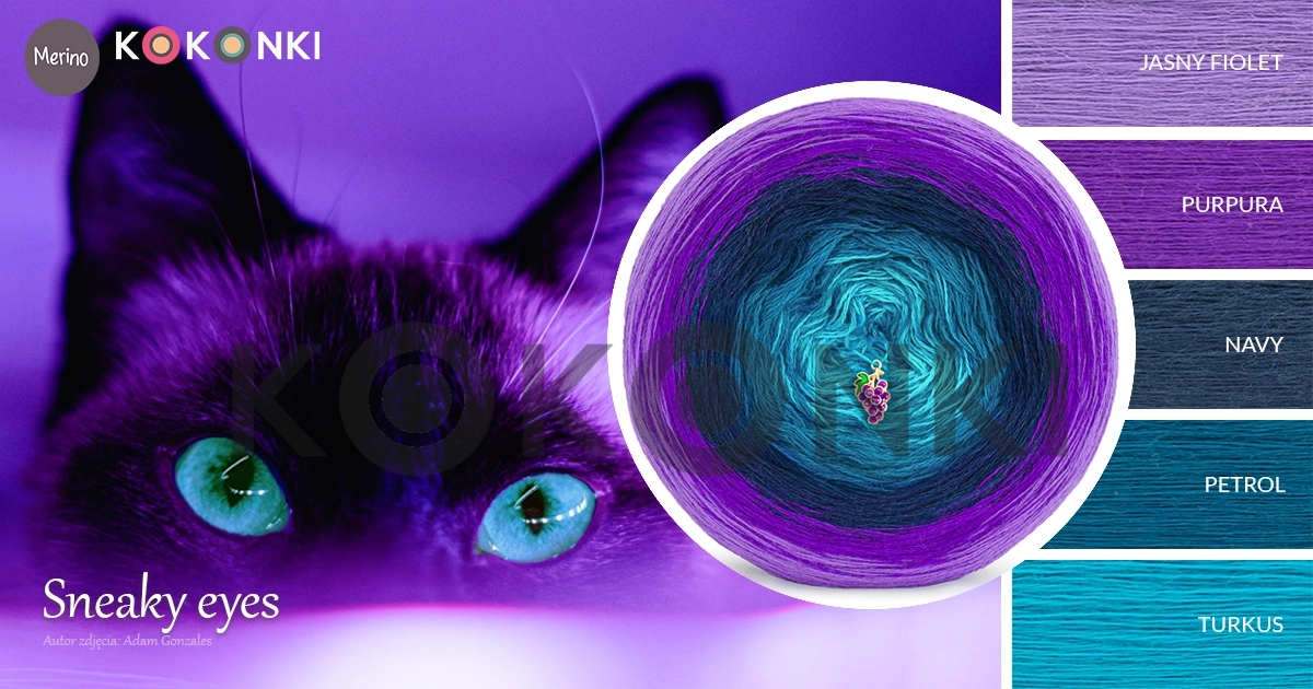 KOKONEK MERINO 770 Sneaky eyes 300 g/1400 m