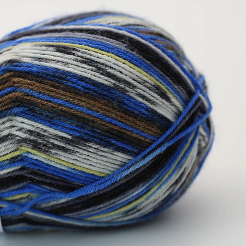 Arne & Carlos  Socks & More Collection 4ply Bamble color